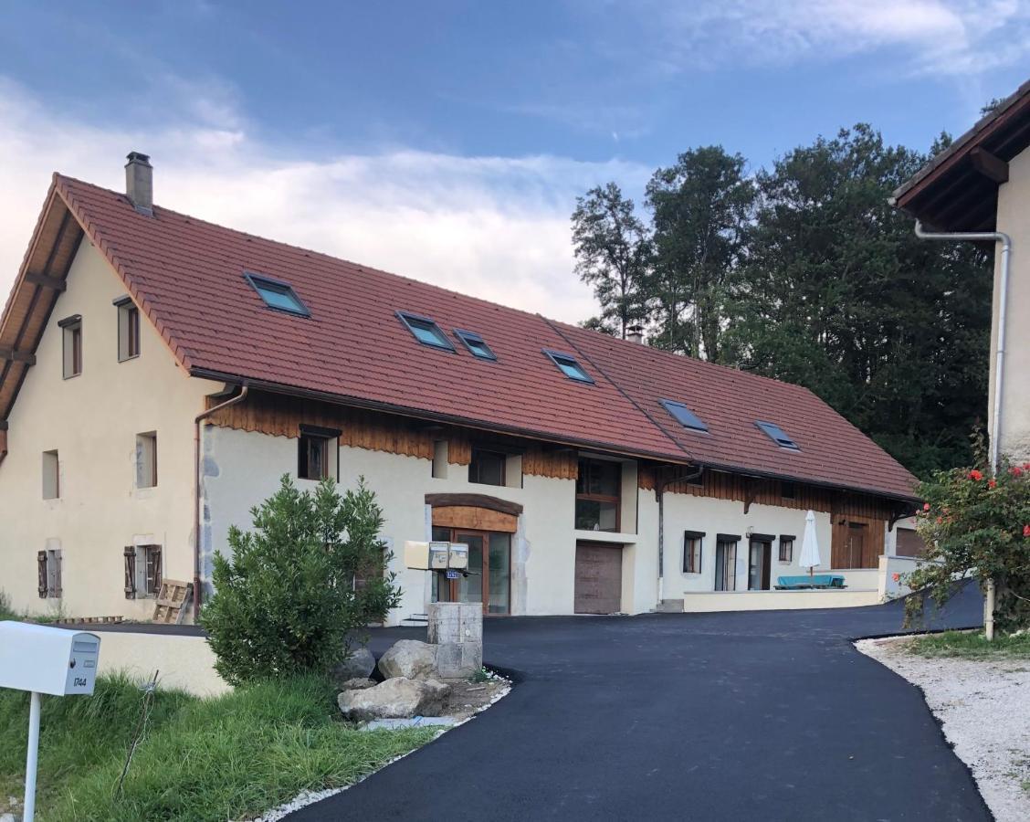 T2 Meuble De 40M2 Axe Annecy/Geneve Saint-Martin-Bellevue Exterior foto